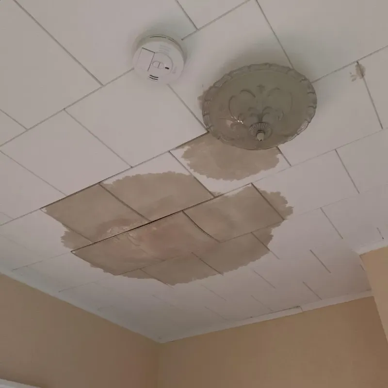 Ceiling Water Damage Repair in Stamford, NY